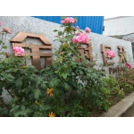 泰兴市金冠包装制品有限公司